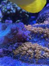 IMG_7317.jpeg