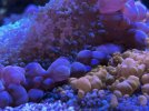 IMG_7347.jpeg