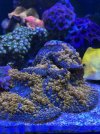 IMG_7358.jpeg