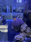 IMG_6448.jpeg