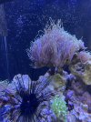 IMG_6449.jpeg
