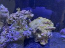 IMG_6452.jpeg
