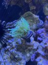 IMG_6450.jpeg