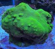 IMG_3573.jpeg