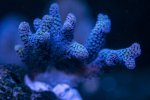 IMG_0364.jpeg