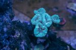 IMG_0366.jpeg