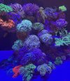 IMG_6716.jpeg