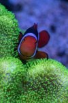 IMG_0360.jpeg