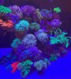 IMG_6985.jpeg