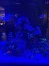 IMG_6934.jpeg