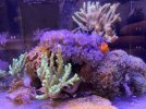 IMG_9291.JPG