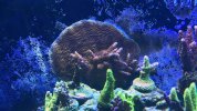 IMG_0300.jpeg