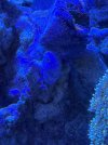 IMG_3936.jpeg