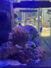 IMG_6504.jpeg