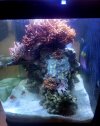 20250714_120352.jpg
