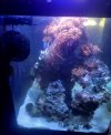 20250714_120409.jpg