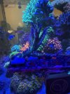 IMG_8615.jpeg