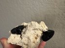 IMG_7856.jpeg