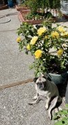 IMG_4493.jpeg