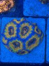 IMG_5224.jpeg