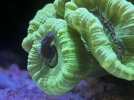 IMG_7689.jpeg