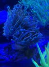 IMG_0970.jpeg
