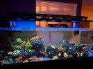 IMG_4626.jpeg