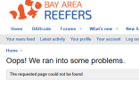 1754951226496.png