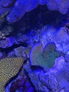 IMG_2850.jpeg