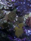IMG_2844.jpeg