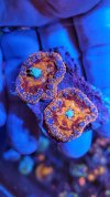 unnamed (13).jpg