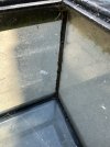IMG_0047.jpeg
