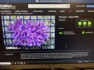 IMG_3003.jpeg