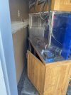 IMG_8734.jpeg