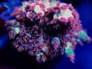 _JAM0329.jpg