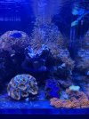 IMG_2962.jpeg
