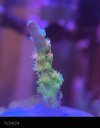 IMG_6439.jpeg