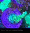 IMG_6449.jpeg