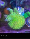IMG_6448.jpeg