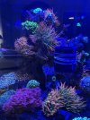 IMG_5331.jpeg