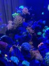 IMG_5329.jpeg