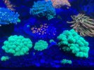 IMG_5339.jpeg