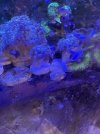 IMG_0534.jpeg