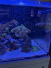 IMG_5785.jpeg