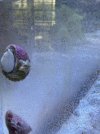 IMG_5789.jpeg