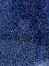 IMG_5788.jpeg