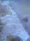 IMG_5787.jpeg