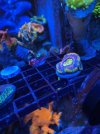 IMG_3540.jpeg