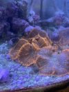 IMG_4712.jpeg