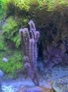 IMG_4818.jpeg